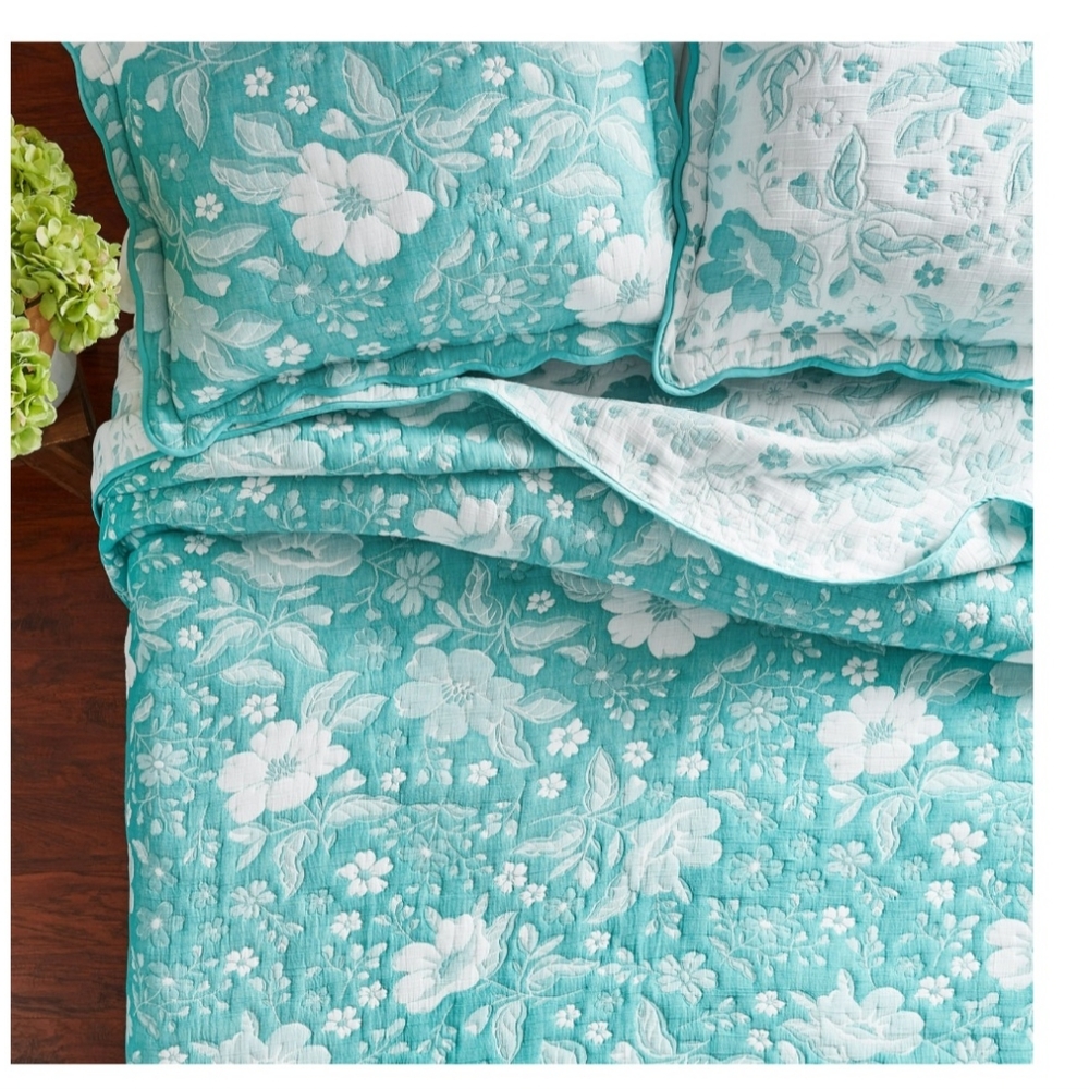 NEW Queen Pioneer Woman Quilt and two matching shams